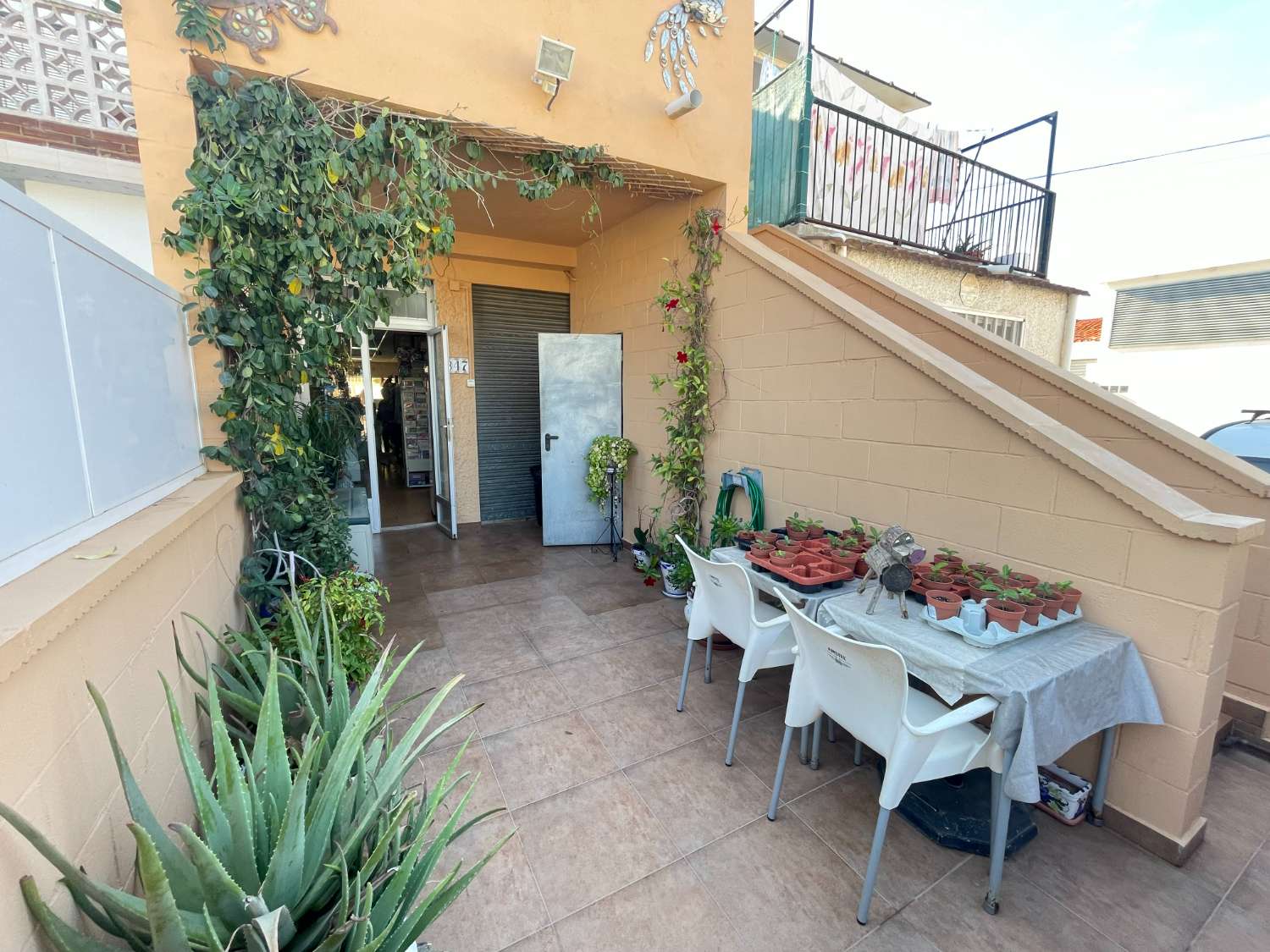 Nice shop and apartment located in Torrevieja