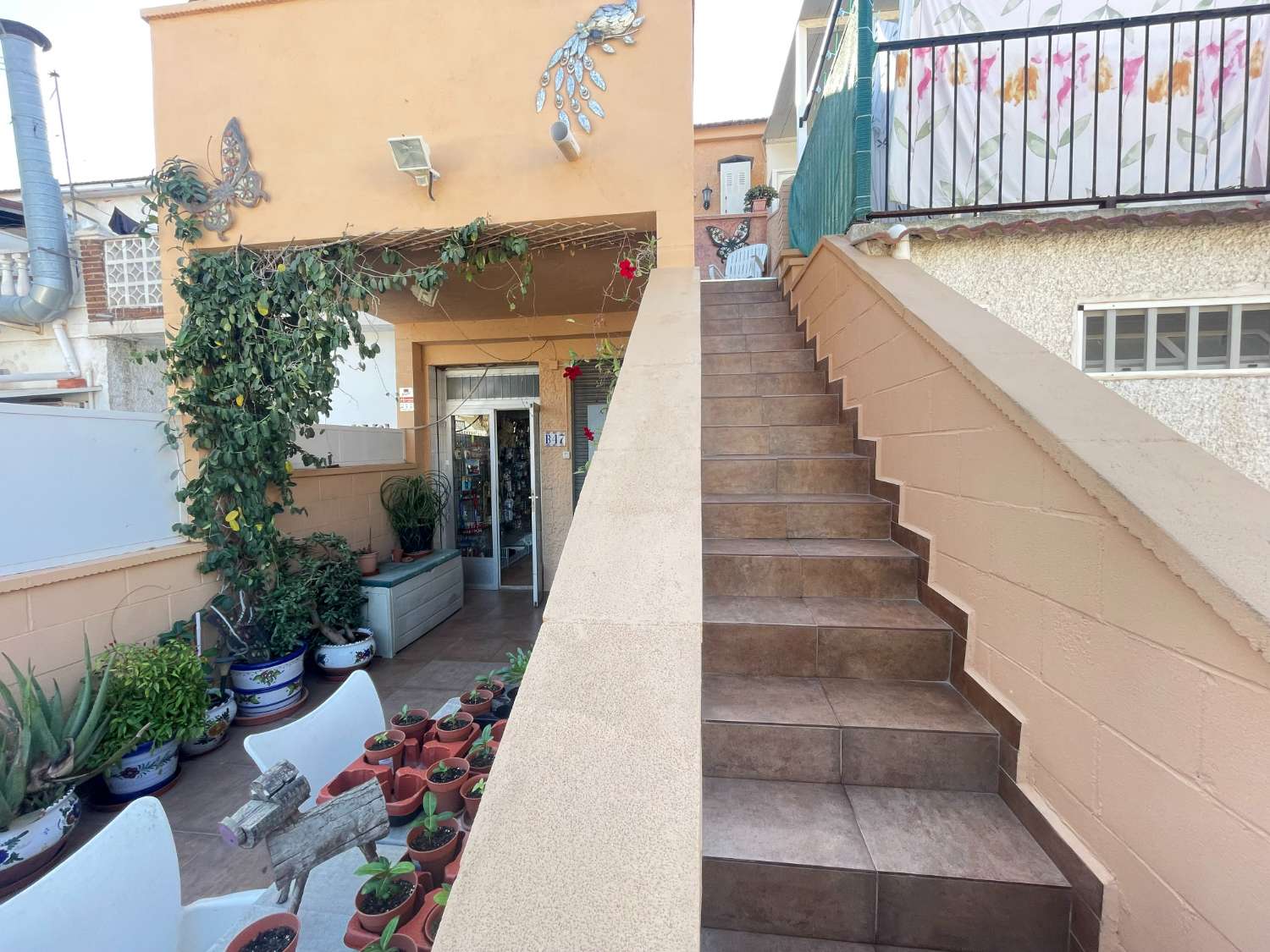 Belle boutique et appartement situé à Torrevieja