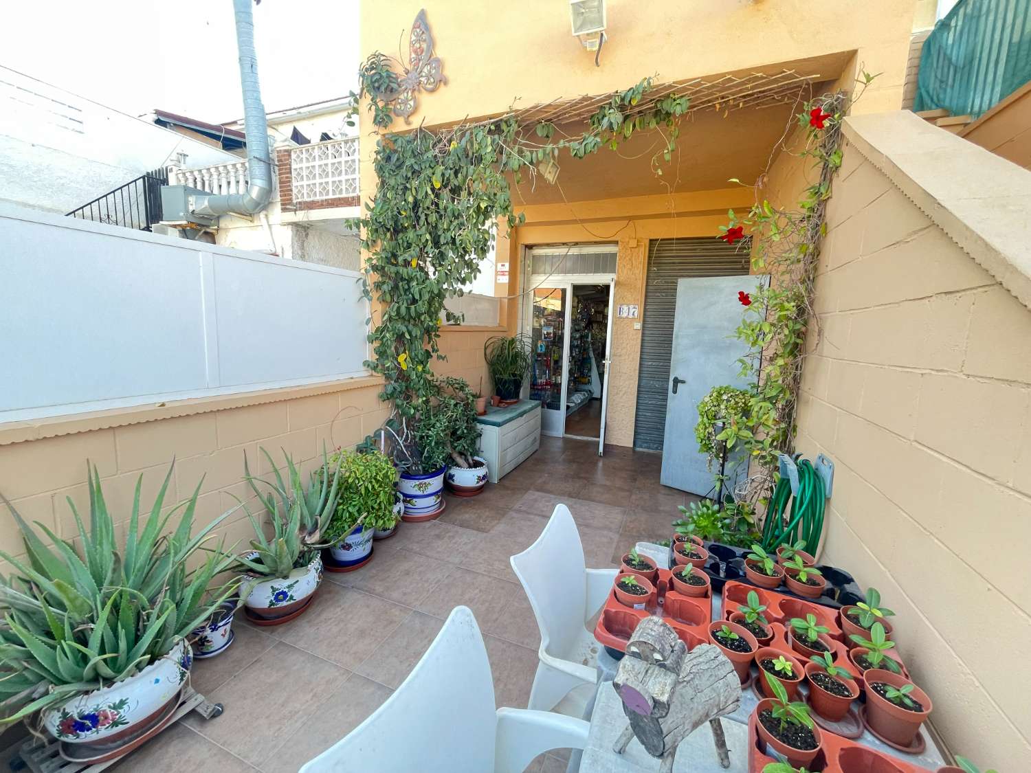 Nice shop and apartment located in Torrevieja