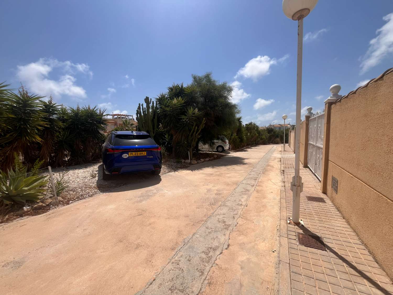 Detached Villa with Pool in Las Palmeras