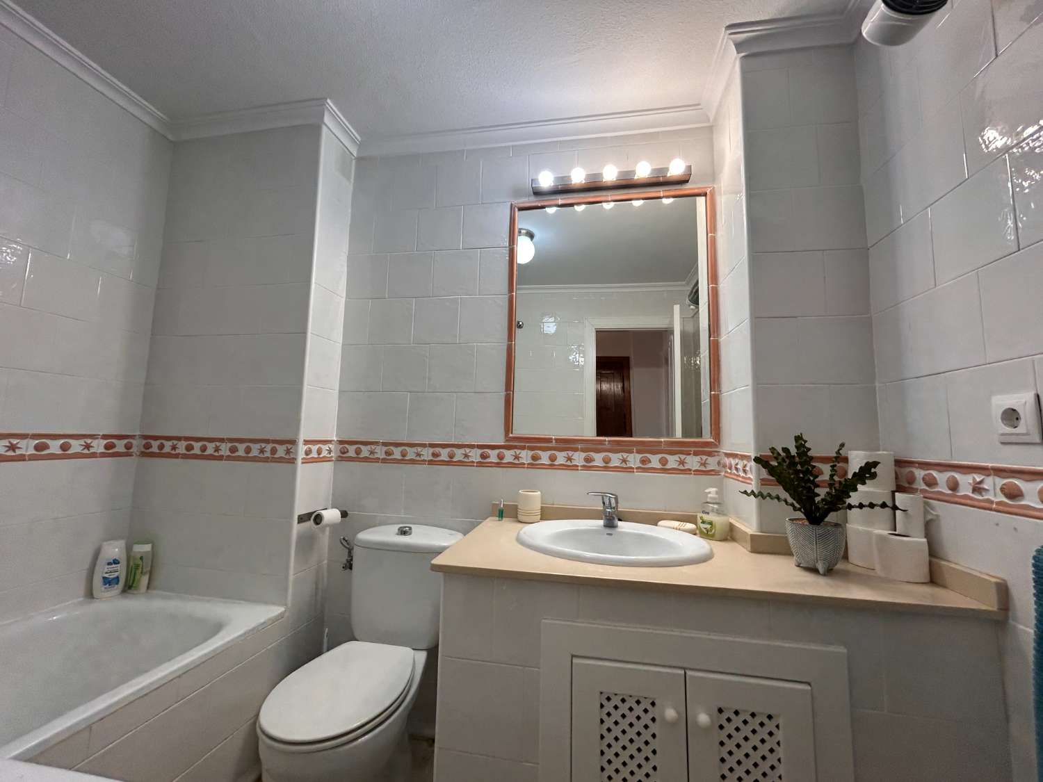 Precioso apartamento en Jumilla 3