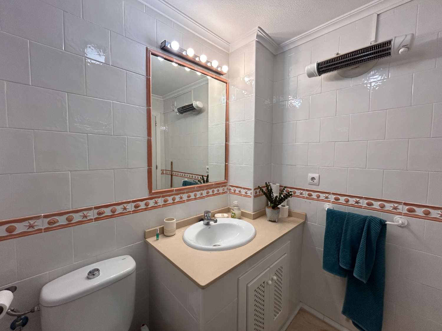 Precioso apartamento en Jumilla 3