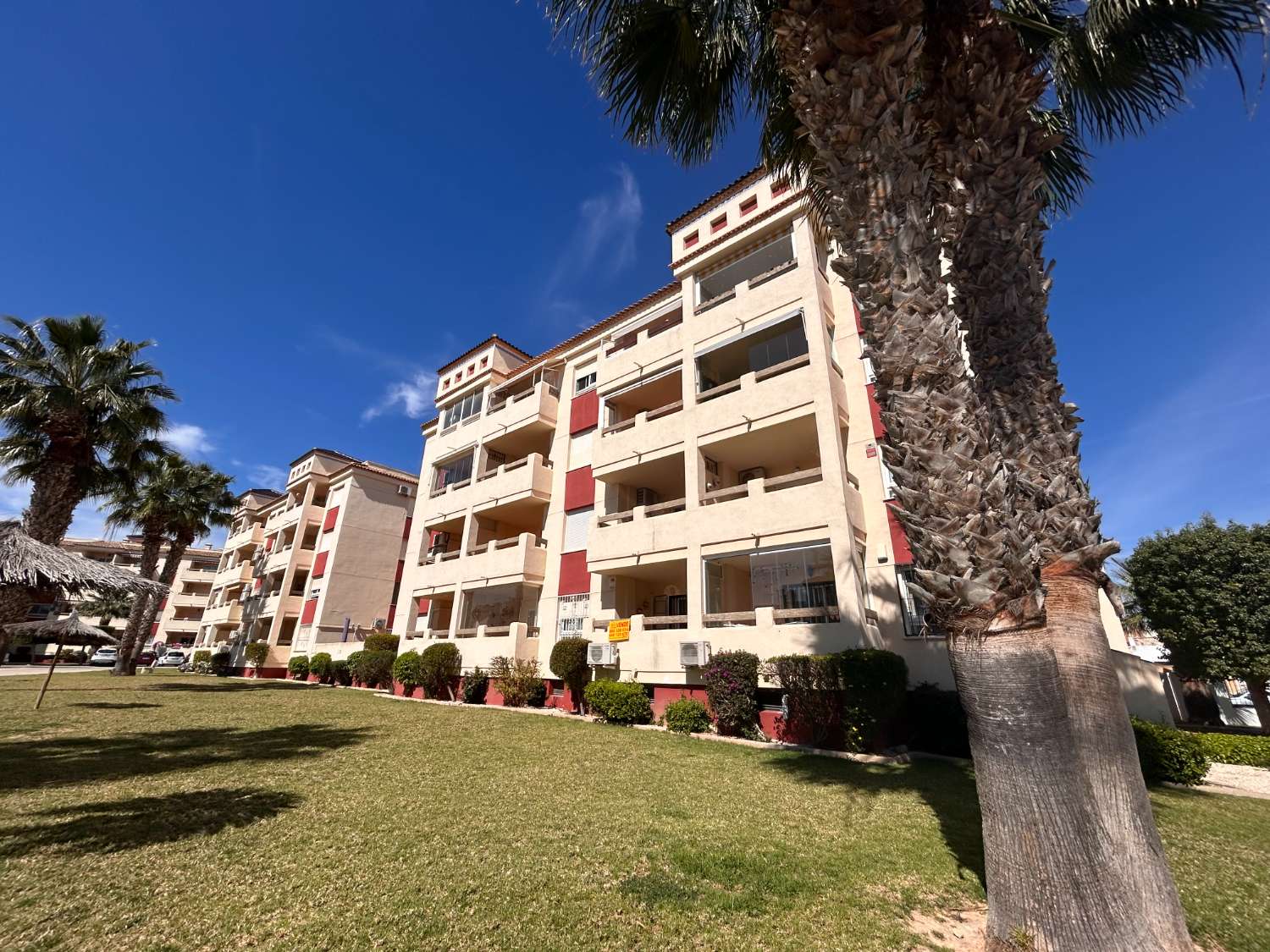 Precioso apartamento en Jumilla 3