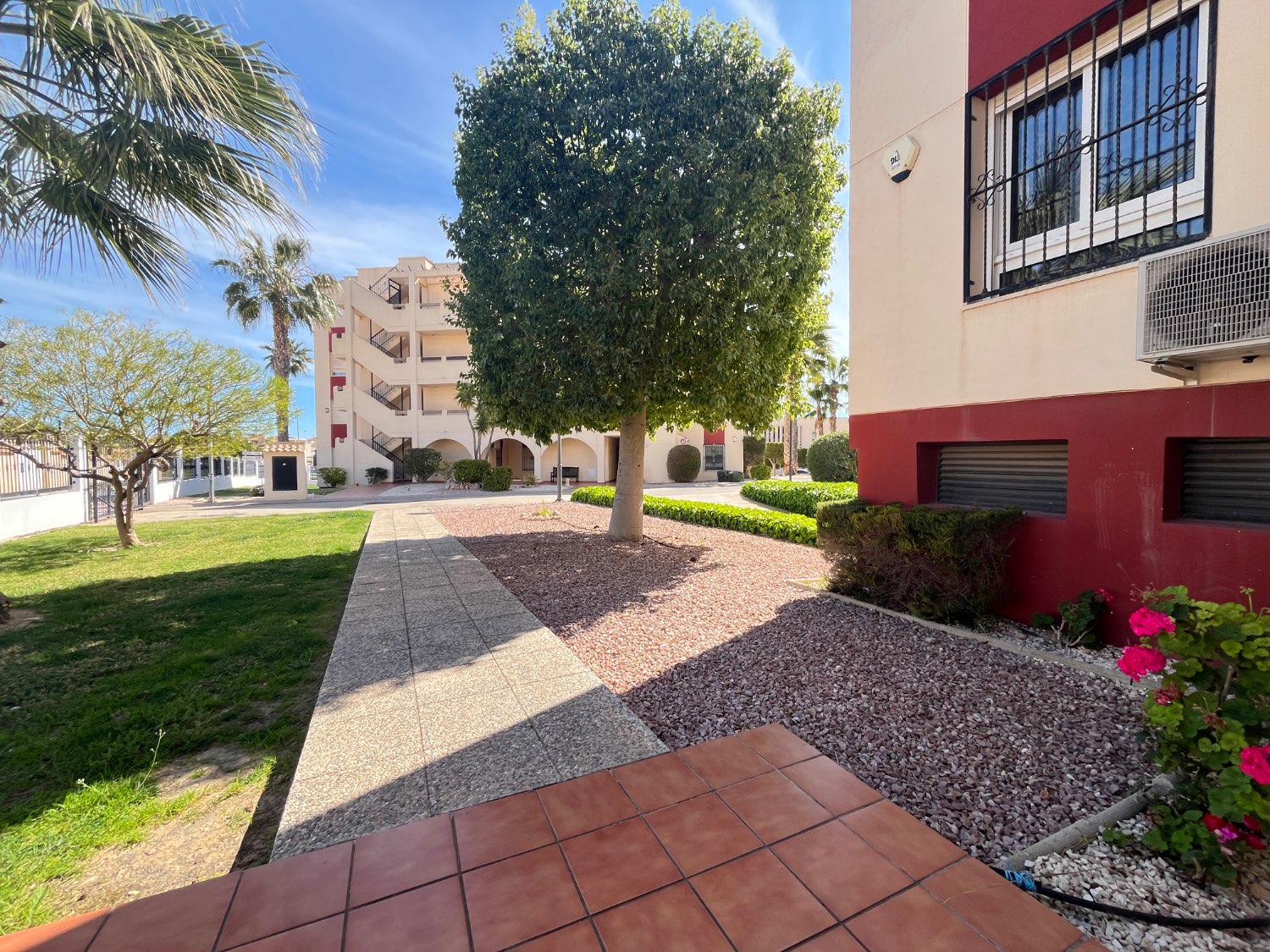 Precioso apartamento en Jumilla 3