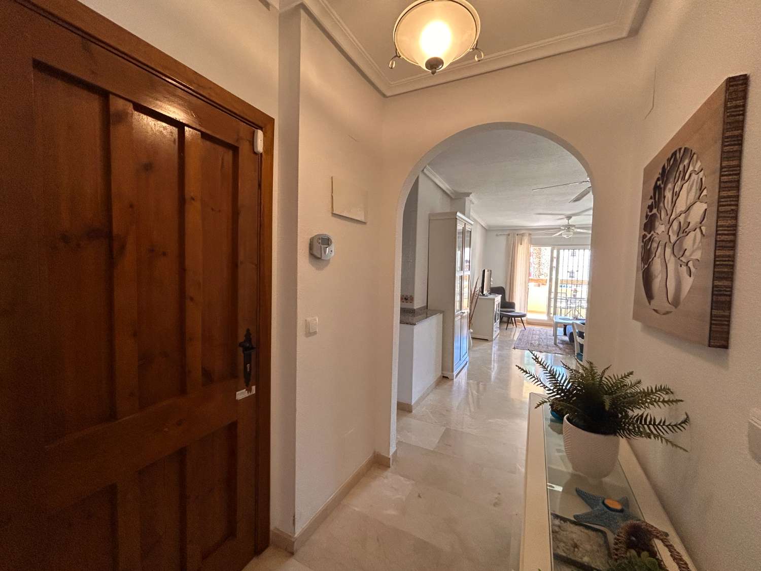Precioso apartamento en Jumilla 3