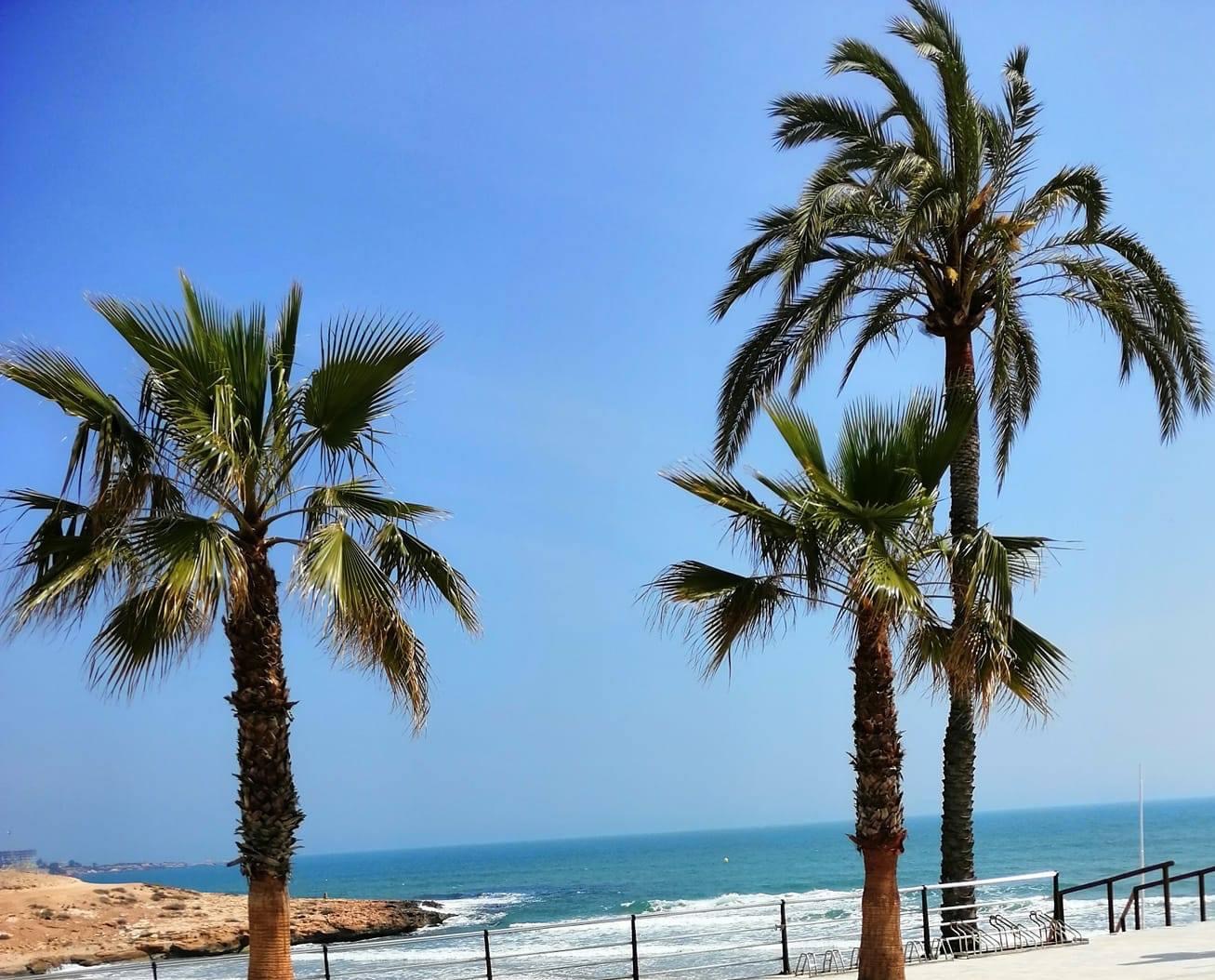 Local comercial diáfano de 305 m2 en esquina en el centro de Torrevieja