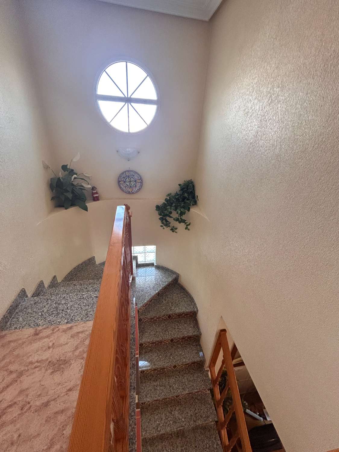 Kulma duplex Zodiaco 3:ssa