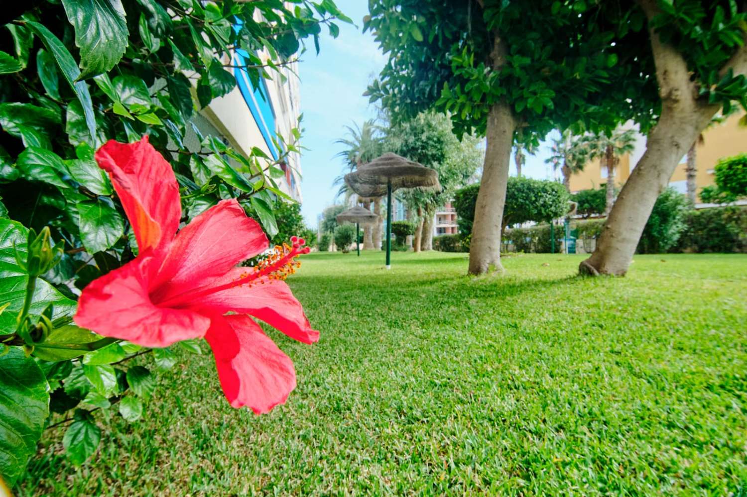 3 soveværelser, 2 badeværelser lejlighed med parkering 250 meter fra stranden