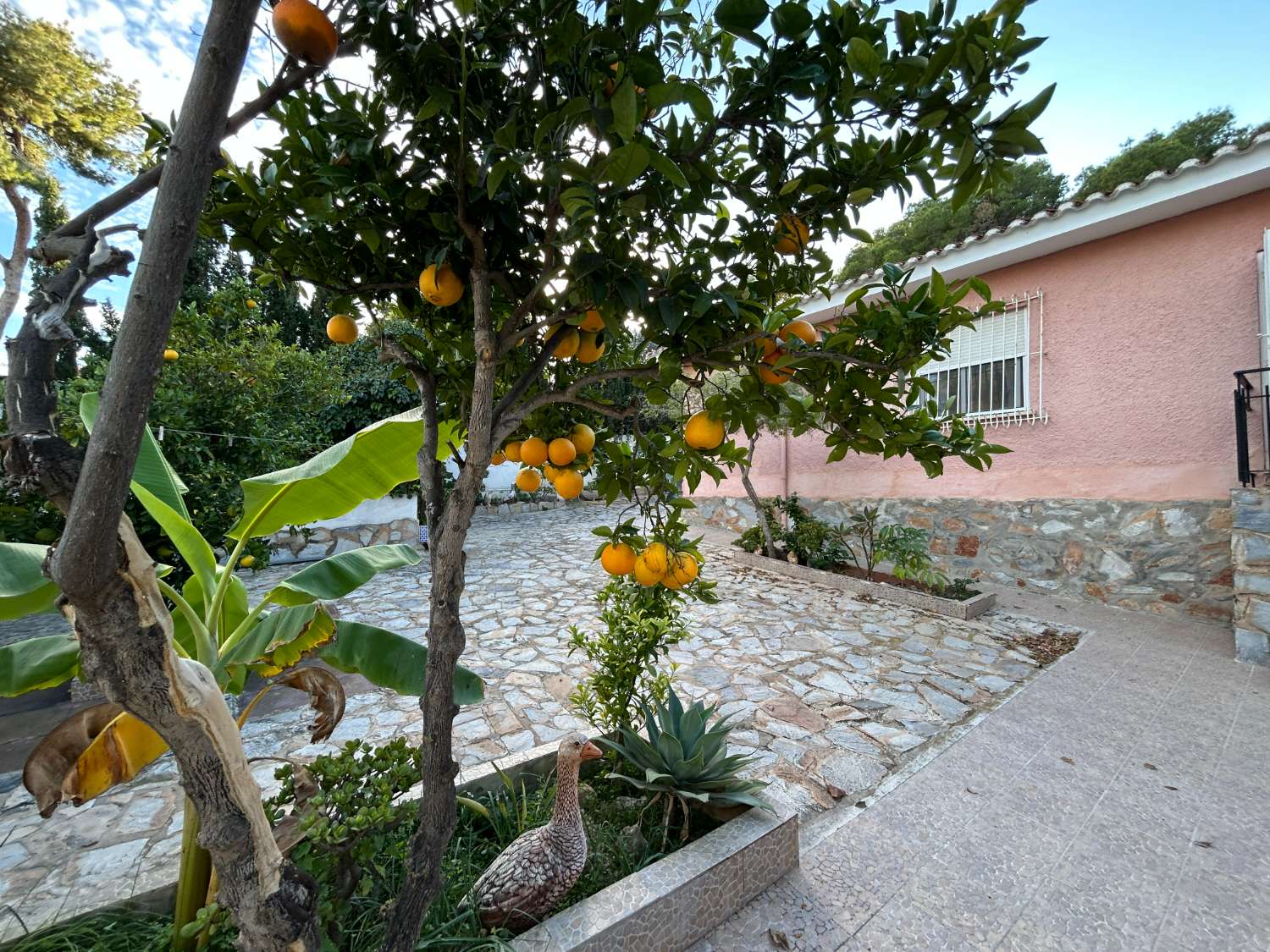 Chalet - Chalet en Los Balcones con Apartamento Independiente