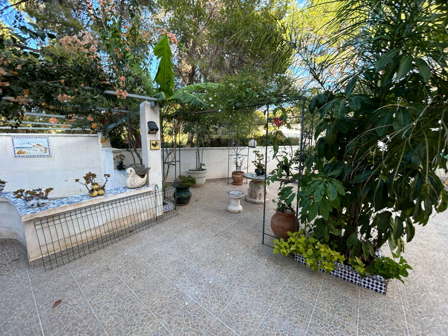 Chalet - Chalet en Los Balcones con Apartamento Independiente