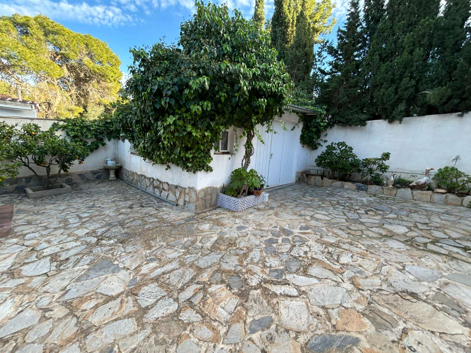 Chalet - Chalet en Los Balcones con Apartamento Independiente