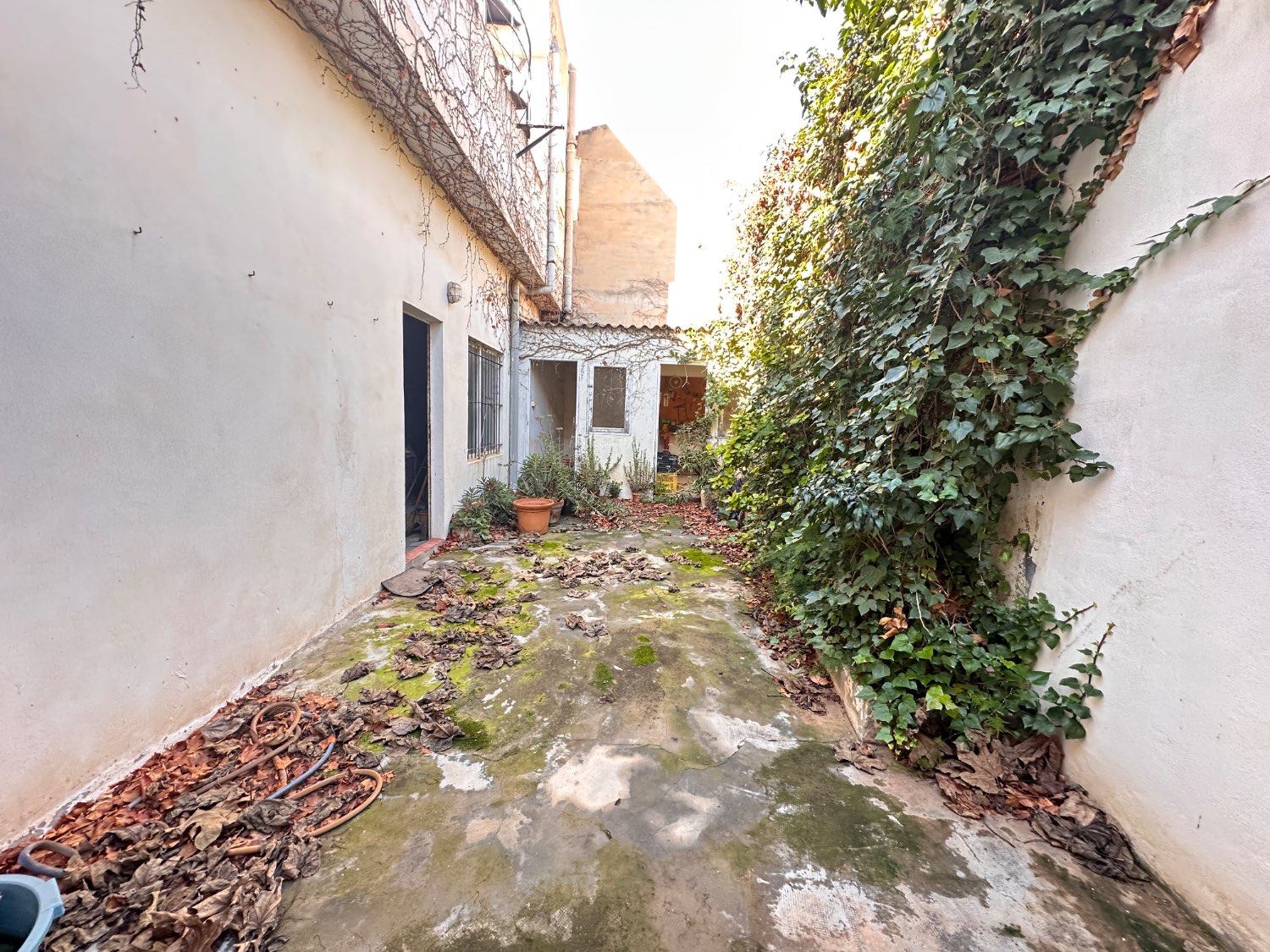 4 bedroom 3 bathroom house in Pilar de la Horadada