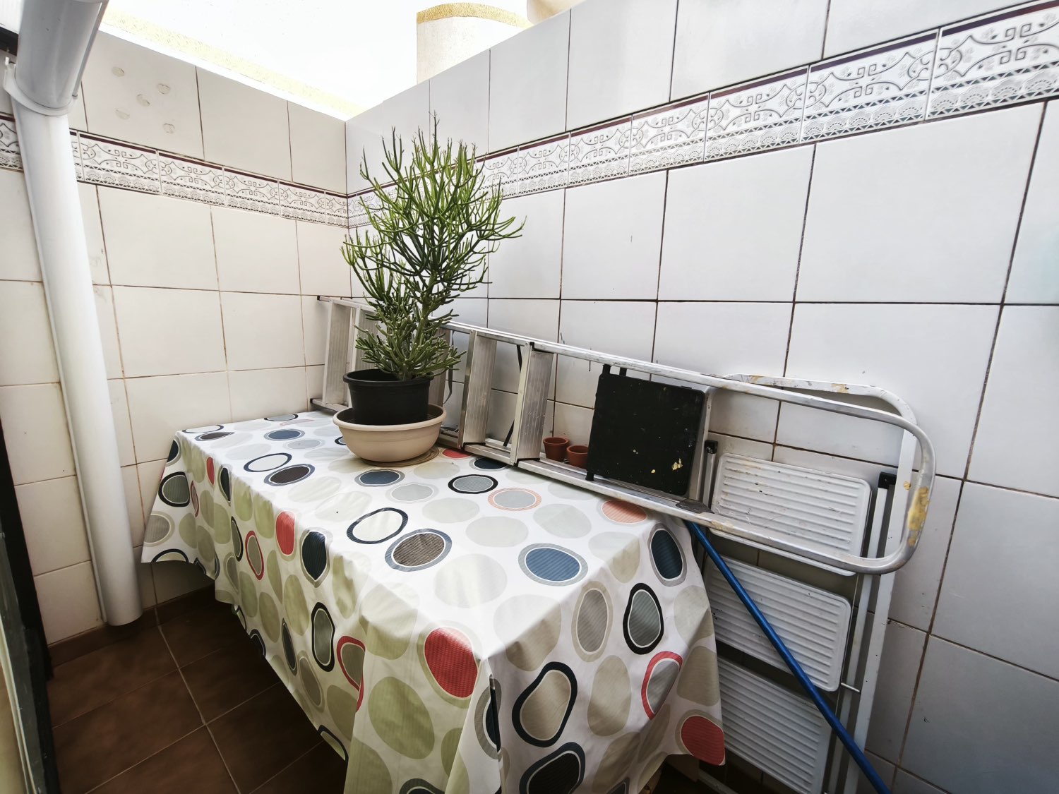 Oportunidad en Las Mimosas – fantástico tríplex con piscina comunitaria