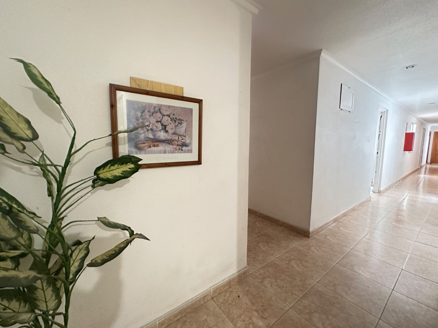 Apartmanento en Torrevieja zona parque de las naciones con 1 dormitorio