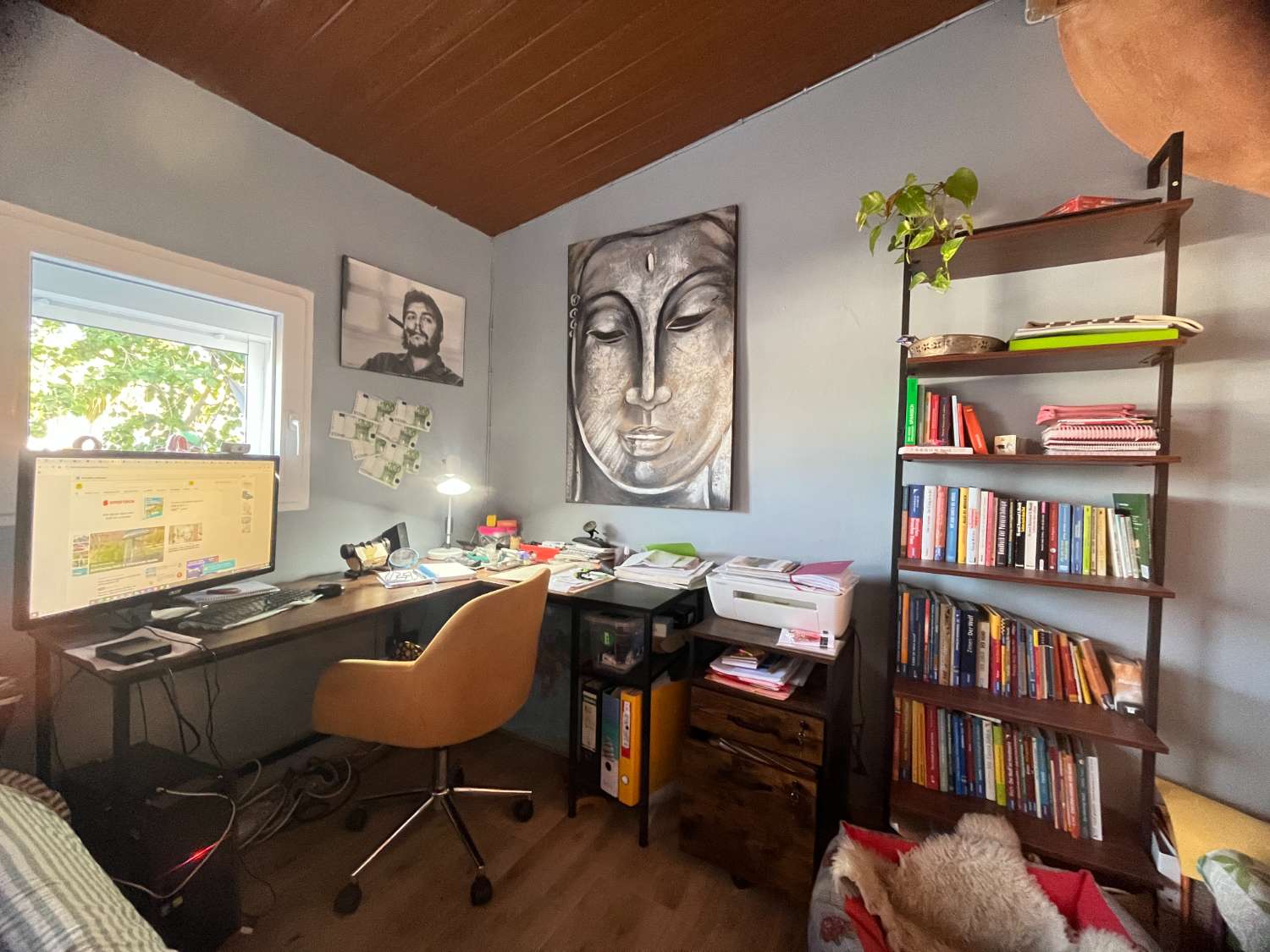 Preciosa Casa con Jardín en la laguna Rosa de Torrevieja