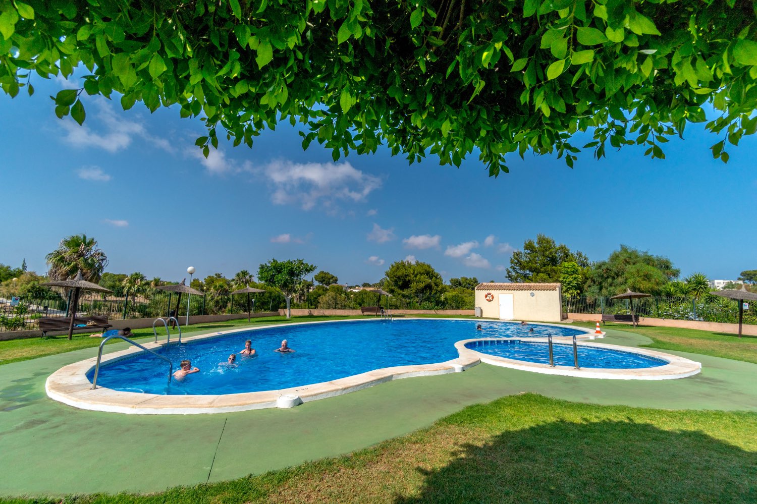 Apartamento planta baja en esquina de 2 dormitorios , en Los altos .