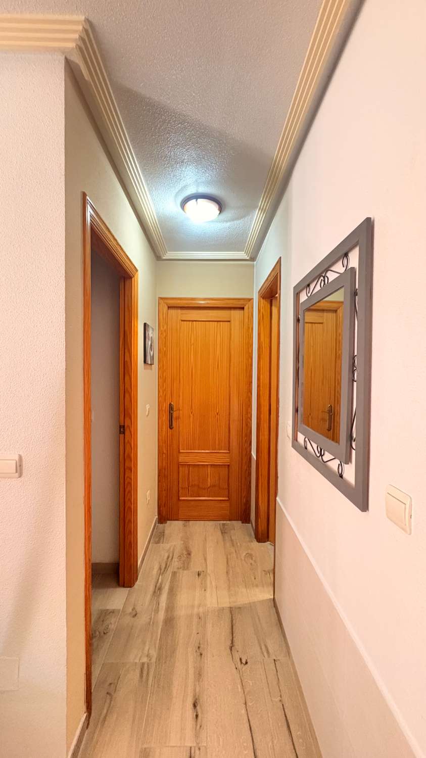 Apartamento orientado al sur en Parque del Duque.