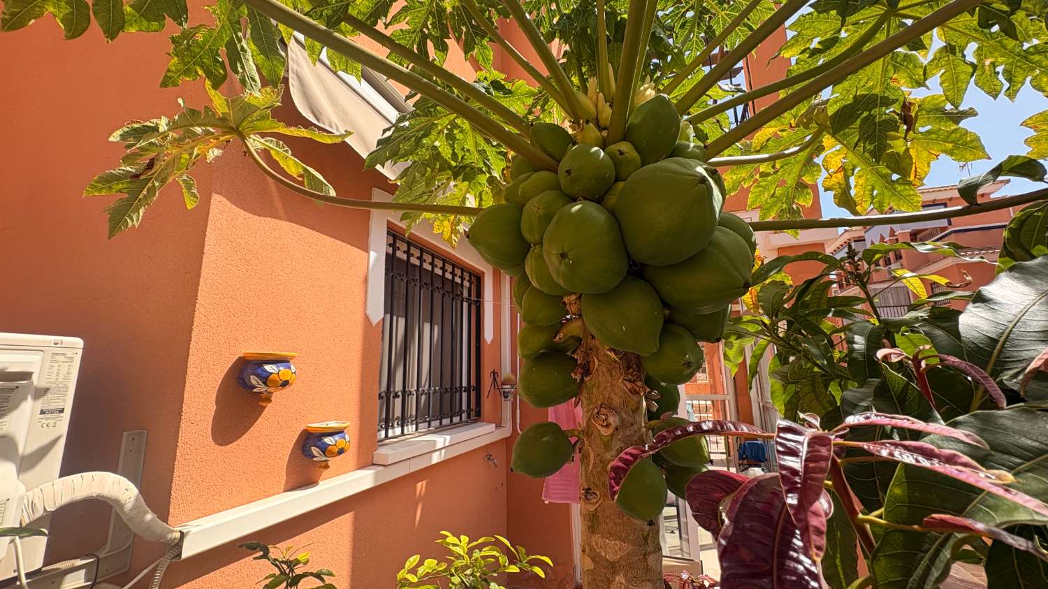 Apartamento orientado al sur en Parque del Duque.