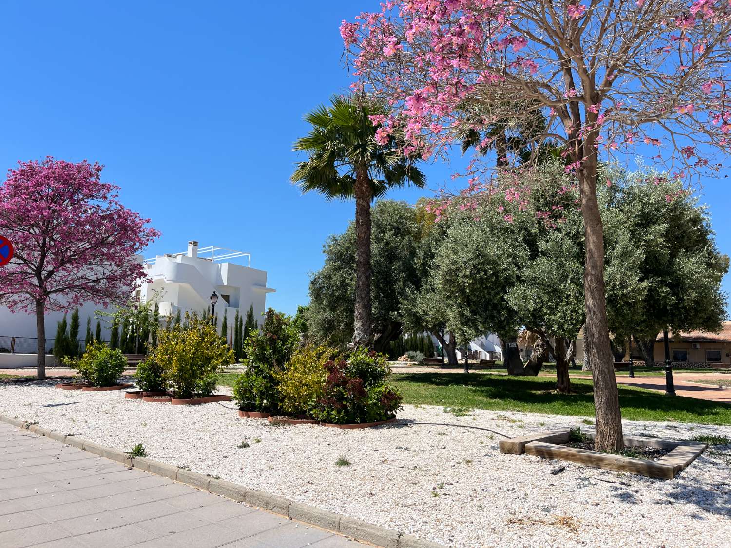 Maisonette-Wohnung mit 4 Schlafzimmern und großem Solarium im Zentrum von Pilar de la Horadada