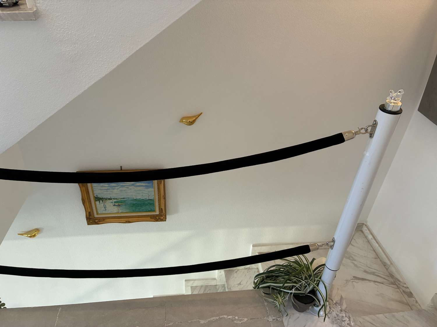 3 dormitorios, 3 baños, 1 garaje y 1 dúplex con piscina común en Orihuela Costa