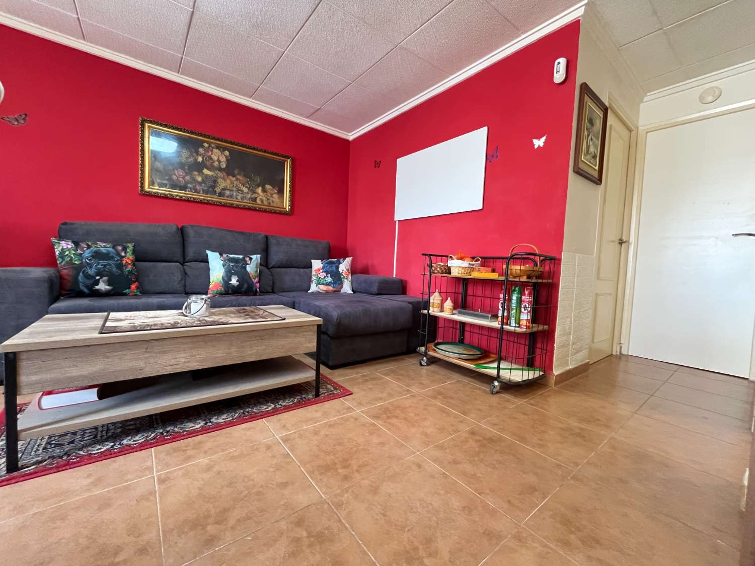 Bungalow de 2 dormitorios con Solarium