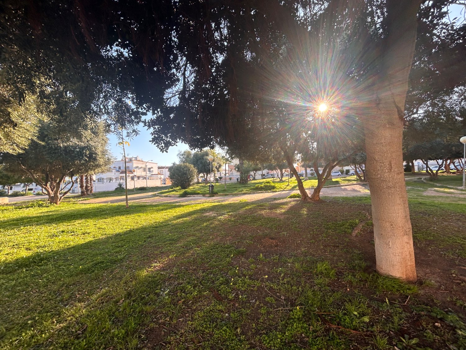 Magnificent apartment with 2 bedrooms, 1 bathroom, 1 communal pool and 1 exceptional solarium in Orihuela Costa (La Florida).