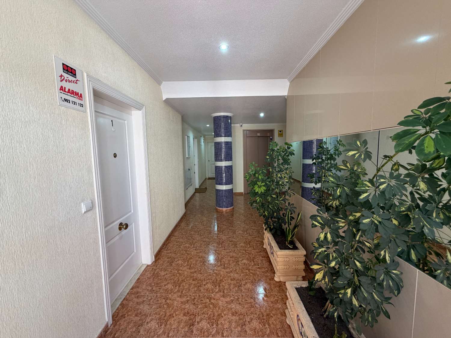 Amplio apartamento en planta baja con gran terraza, parking y trastero